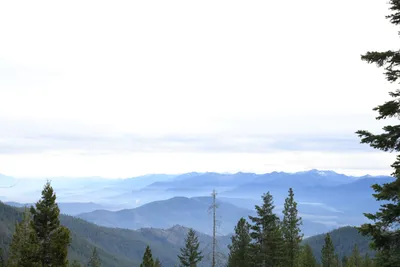 DSC_0073 (Large).JPG